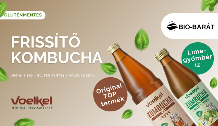 Frissítő kombucha italok az energikus mindennapokhoz