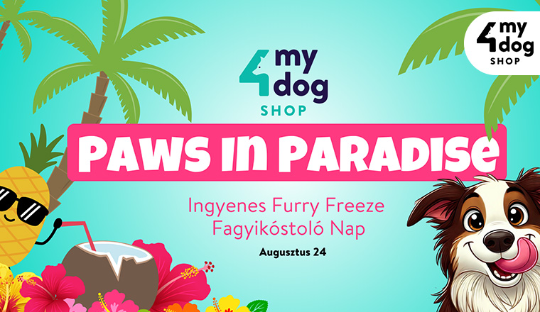 Paws in Paradise nap a 4MyDog SHOP-ban