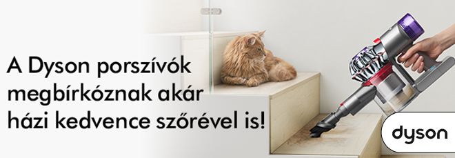 Tiszta otthon kisállat mellett is