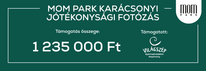Közel 1,3 millió forint gyűlt össze jótékonysági fotózásunkon