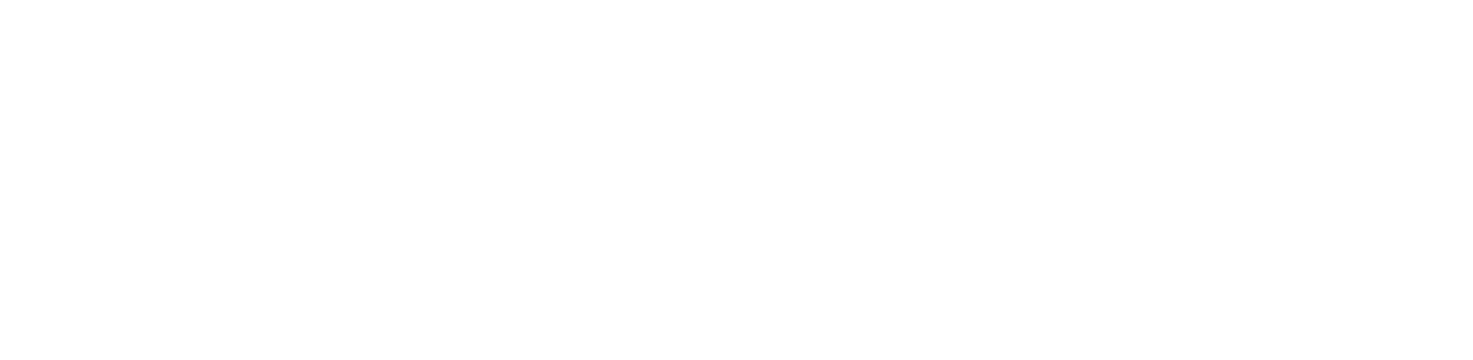IZIPIZI